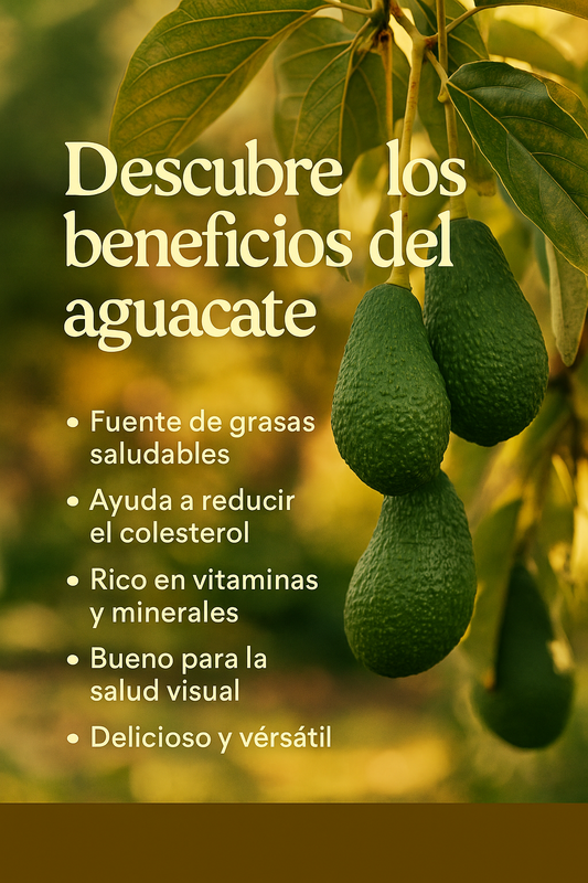 Aguacate: El Tesoro Verde de la Naturaleza